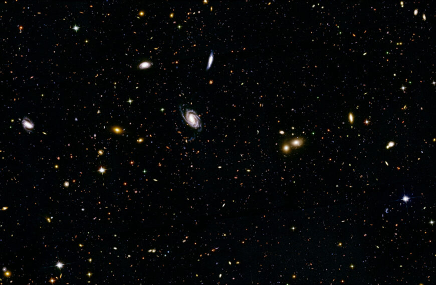 La verdad más cruda